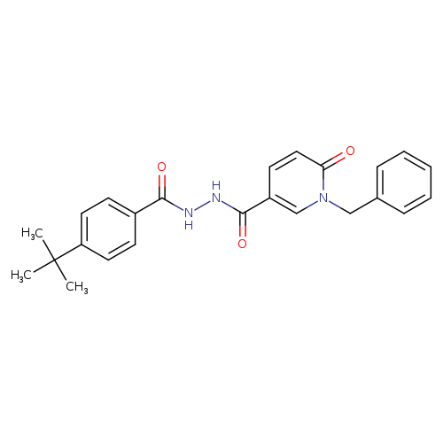 N'-(1-benzyl-6-oxo-1,6-dihydropyridine-3-carbonyl)-4-tert-butylbenzohydrazide