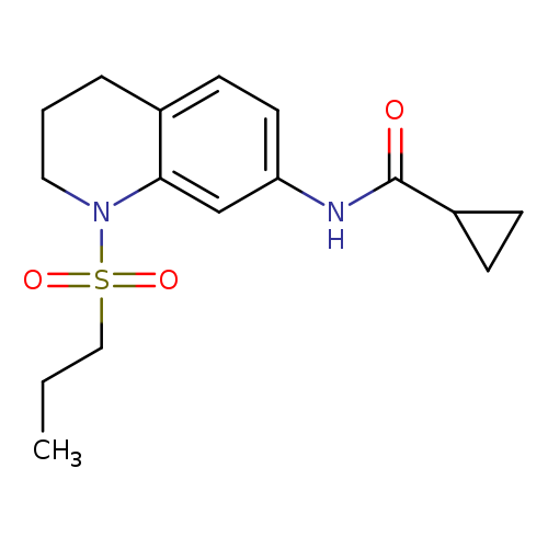 N-[1-(propane-1-sulfonyl)-1,2,3,4-tetrahydroquinolin-7-yl]cyclopropanecarboxamide