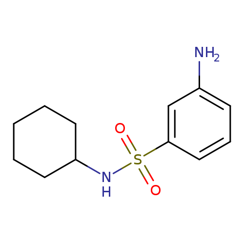 N-Cyclohexyl 3-aminobenzenesulfonamide