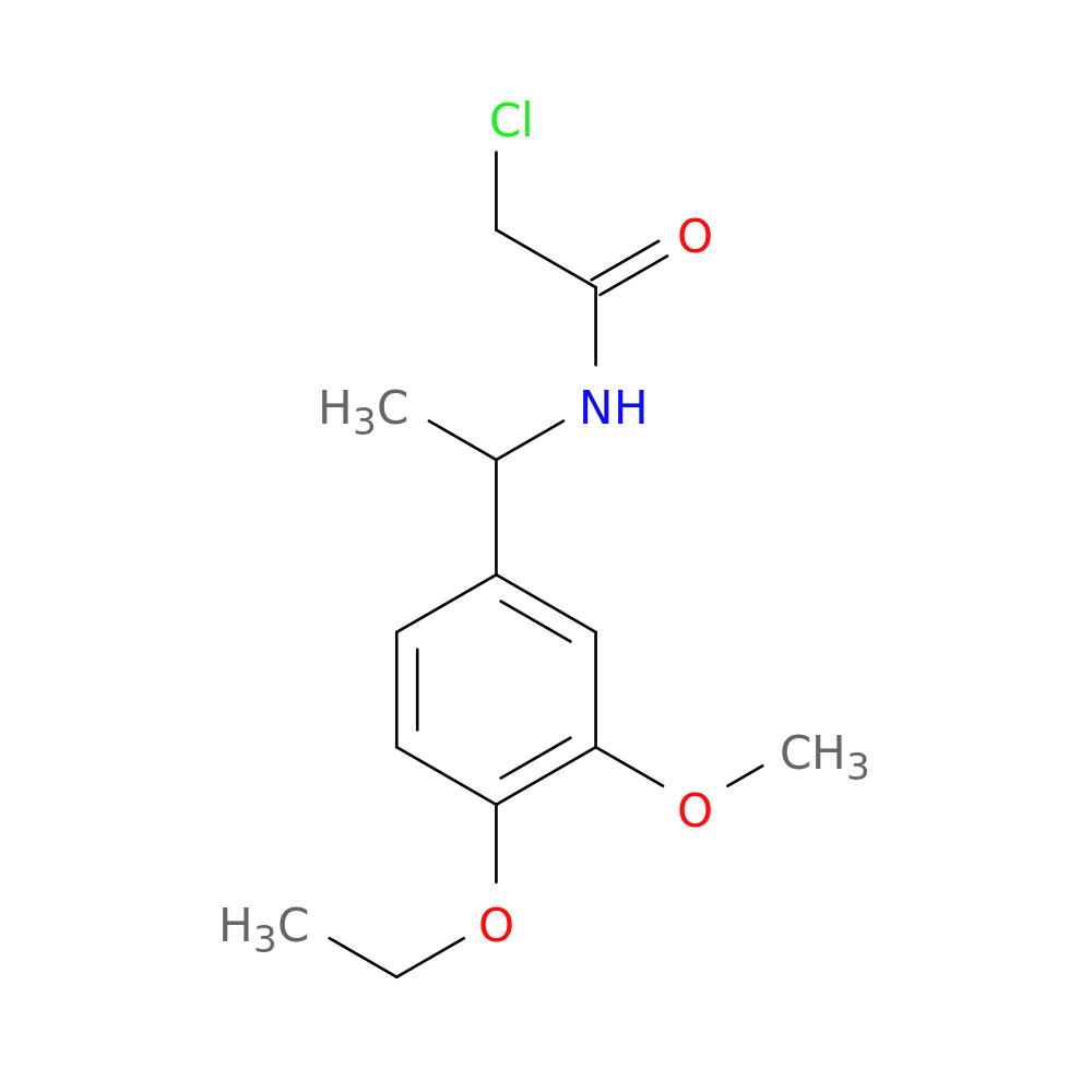 2-chloro-N-[1-(4-ethoxy-3-methoxyphenyl)ethyl]acetamide