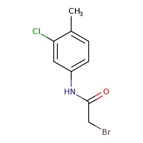 2-Bromo-n-(3-chloro-4-methylphenyl)acetamide