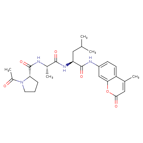 1-acetyl-L-prolyl-L-alanyl-N-(4-methyl-2-oxo-2H-1-benzopyran-7-yl)-L-leucinamide