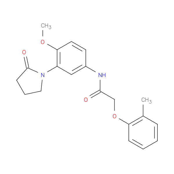 N-[4-methoxy-3-(2-oxopyrrolidin-1-yl)phenyl]-2-(2-methylphenoxy)acetamide