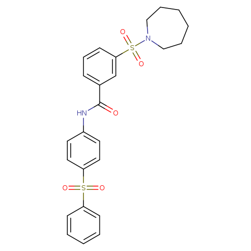 3-(azepane-1-sulfonyl)-N-[4-(benzenesulfonyl)phenyl]benzamide