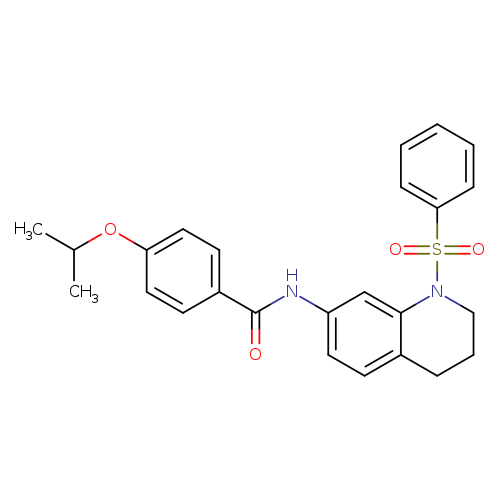 N-[1-(benzenesulfonyl)-1,2,3,4-tetrahydroquinolin-7-yl]-4-(propan-2-yloxy)benzamide