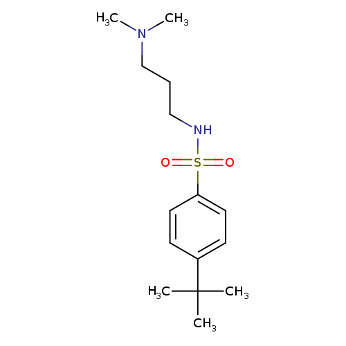 4-tert-Butyl-N-(3-dimethylamino-propyl)-benzenesulfonamide