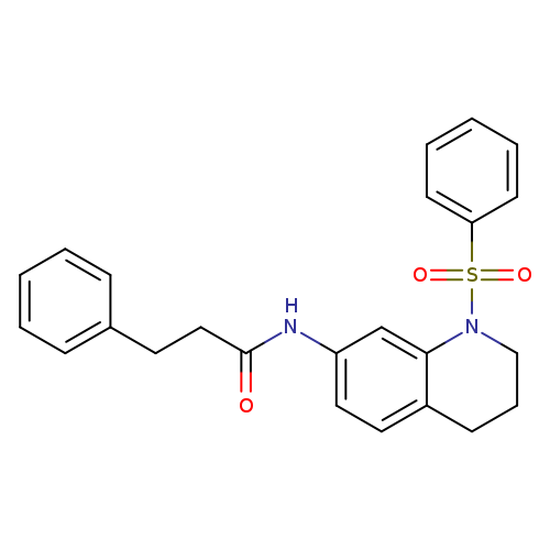 N-[1-(benzenesulfonyl)-1,2,3,4-tetrahydroquinolin-7-yl]-3-phenylpropanamide