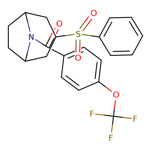 3-(benzenesulfonyl)-8-[4-(trifluoromethoxy)benzoyl]-8-azabicyclo[3.2.1]octane