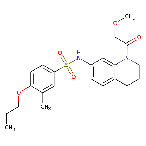 N-[1-(2-methoxyacetyl)-1,2,3,4-tetrahydroquinolin-7-yl]-3-methyl-4-propoxybenzene-1-sulfonamide