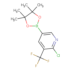 2-Chloro-5-(4,4,5,5-tetramethyl-1,3,2-dioxaborolan-2-yl)-3-(trifluoromethyl)pyridine