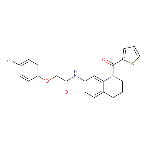 2-(4-methylphenoxy)-N-[1-(thiophene-2-carbonyl)-1,2,3,4-tetrahydroquinolin-7-yl]acetamide