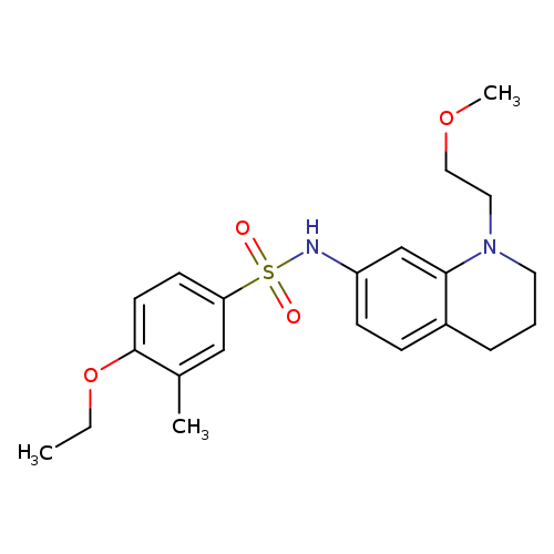 4-ethoxy-N-[1-(2-methoxyethyl)-1,2,3,4-tetrahydroquinolin-7-yl]-3-methylbenzene-1-sulfonamide