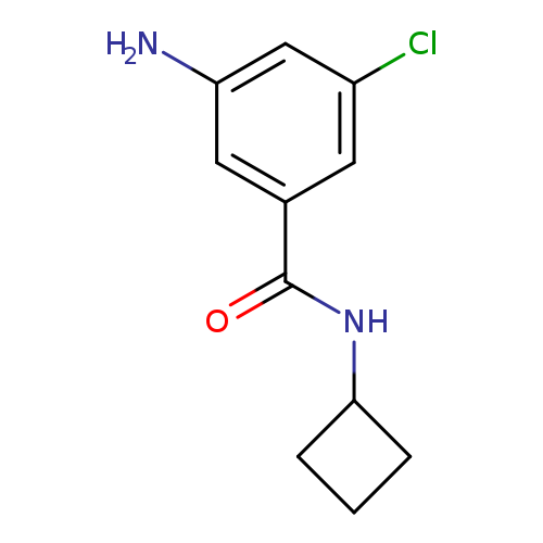 3-Amino-5-chloro-N-cyclobutylbenzamide