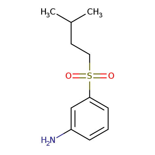 3-[(3-Methylbutane)sulfonyl]aniline