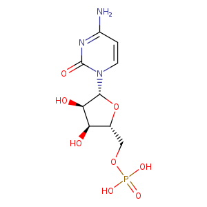 5'-Cytidylic acid