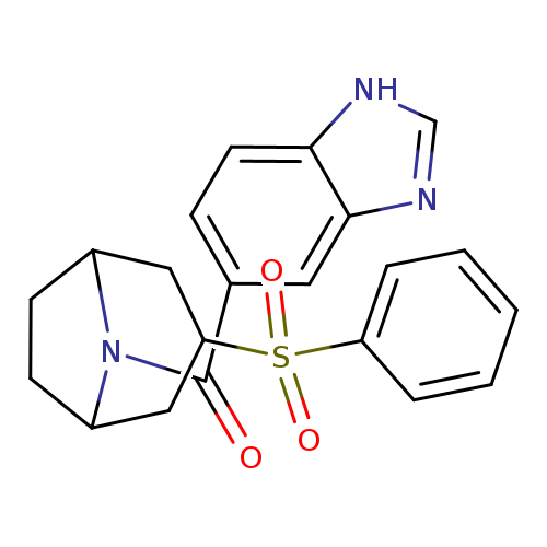 5-[3-(benzenesulfonyl)-8-azabicyclo[3.2.1]octane-8-carbonyl]-1H-1,3-benzodiazole