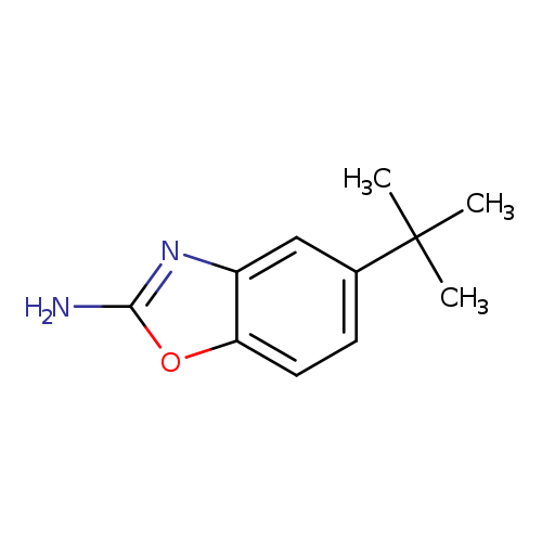 5-tert-Butyl-1,3-benzoxazol-2-amine