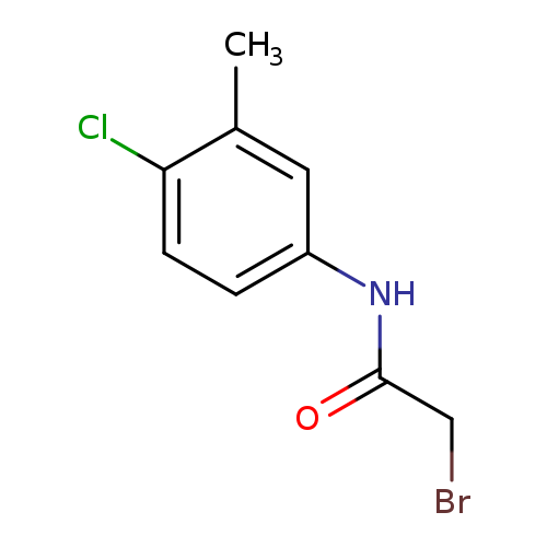 2-Bromo-n-(4-chloro-3-methylphenyl)acetamide