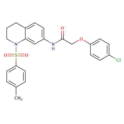 2-(4-chlorophenoxy)-N-[1-(4-methylbenzenesulfonyl)-1,2,3,4-tetrahydroquinolin-7-yl]acetamide