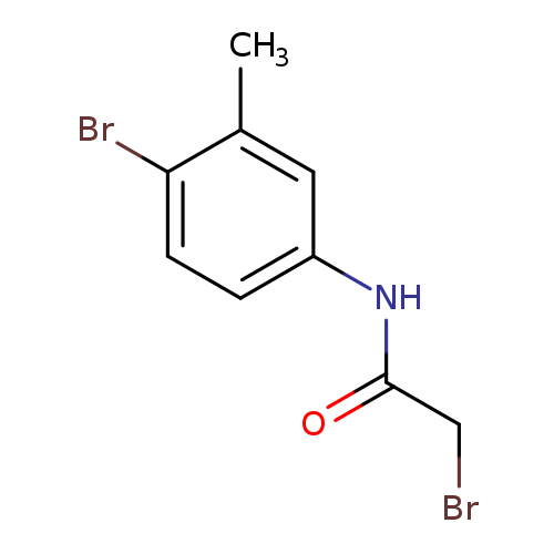2-Bromo-n-(4-bromo-3-methylphenyl)acetamide