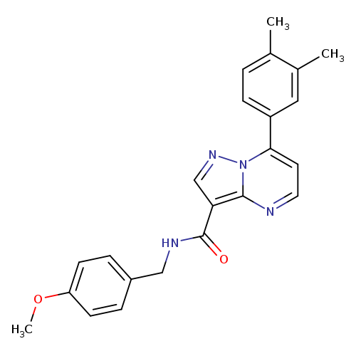 7-(3,4-dimethylphenyl)-N-[(4-methoxyphenyl)methyl]pyrazolo[1,5-a]pyrimidine-3-carboxamide
