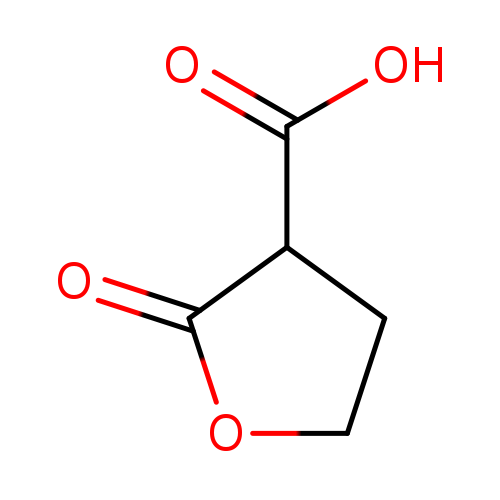 2-oxooxolane-3-carboxylic acid