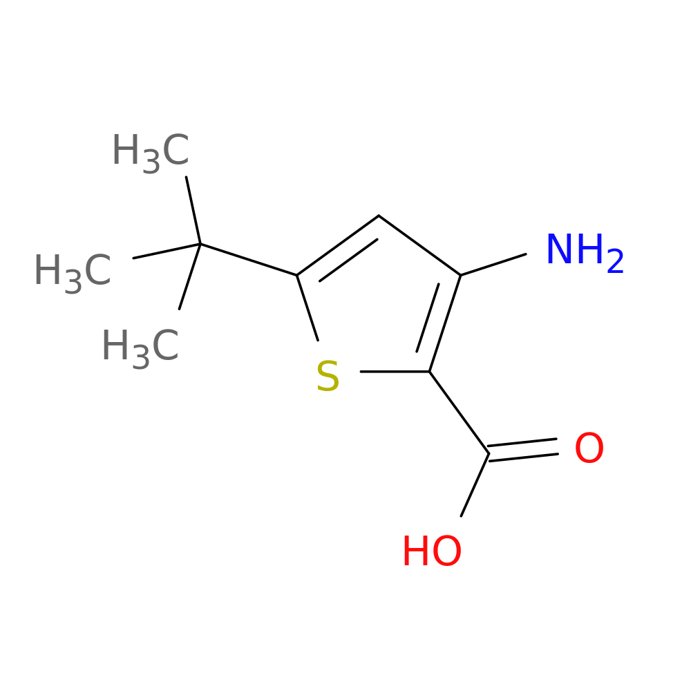 3-Amino-5-tert-butylthiophene-2-carboxylic acid
