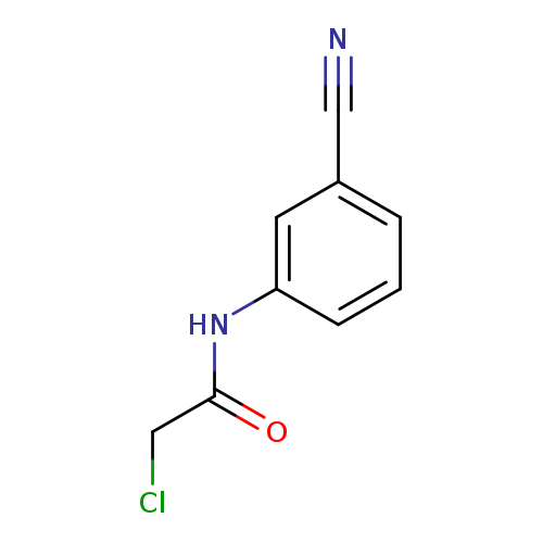 N1-(3-Cyanophenyl)-2-chloroacetamide