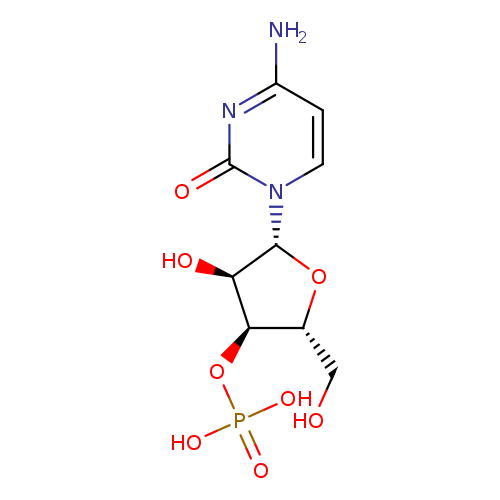 3′-CMP