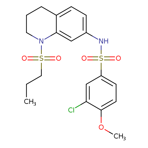 3-chloro-4-methoxy-N-[1-(propane-1-sulfonyl)-1,2,3,4-tetrahydroquinolin-7-yl]benzene-1-sulfonamide