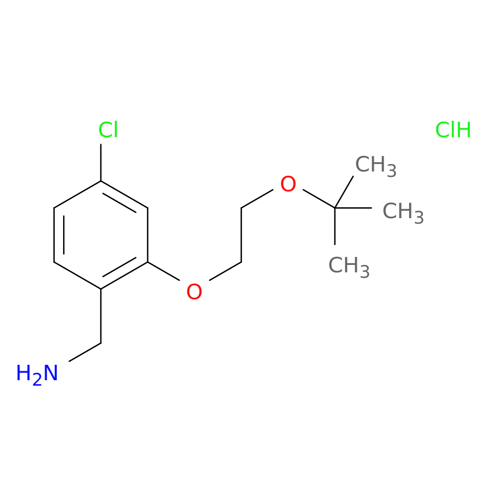 1-{2-[2-(tert-butoxy)ethoxy]-4-chlorophenyl}methanamine hydrochloride
