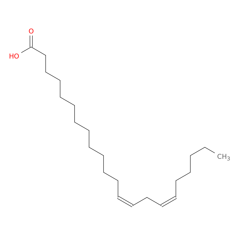(13Z,16Z)-13,16-Docosadienoic acid