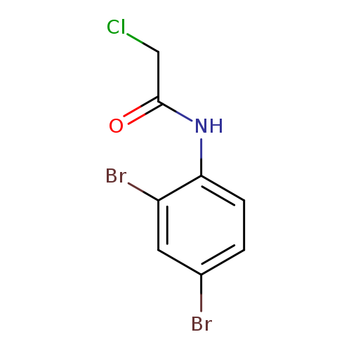 2-chloro-N-(2,4-dibromophenyl)acetamide