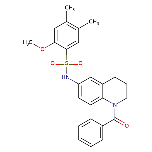 N-(1-benzoyl-1,2,3,4-tetrahydroquinolin-6-yl)-2-methoxy-4,5-dimethylbenzene-1-sulfonamide