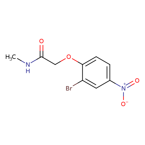2-(2-Bromo-4-nitrophenoxy)-N-methylacetamide