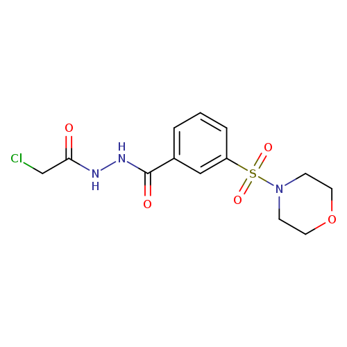 N'-(2-chloroacetyl)-3-(morpholine-4-sulfonyl)benzohydrazide