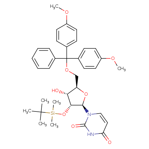 5'-O-DMT-2'-TBDMS-Uridine