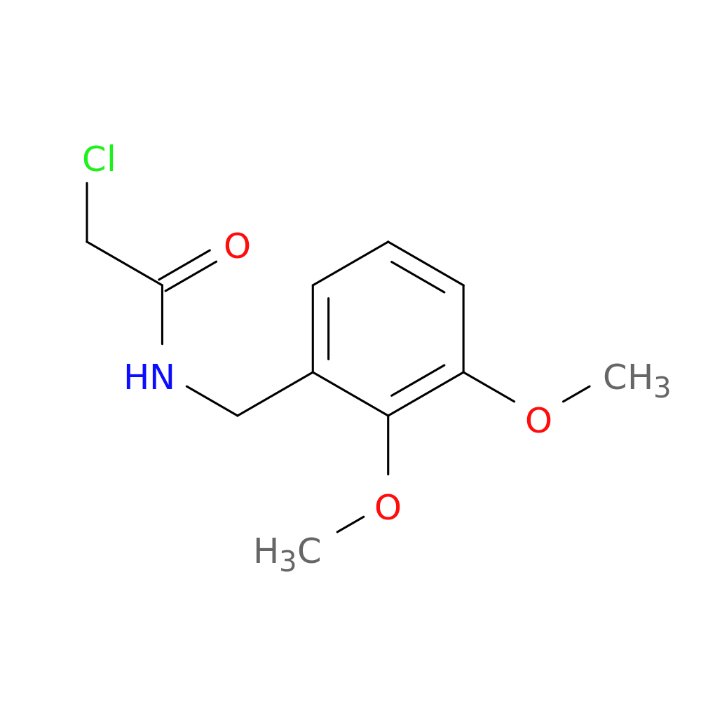 Acetamide, 2-chloro-N-((2,3-dimethoxyphenyl)methyl)-