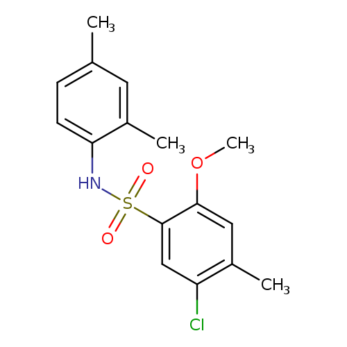 5-chloro-N-(2,4-dimethylphenyl)-2-methoxy-4-methylbenzene-1-sulfonamide