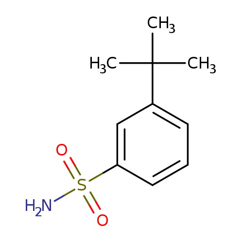 3-(tert-Butyl)benzenesulfonamide
