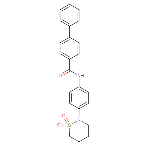 N-[4-(1,1-dioxo-1lambda6,2-thiazinan-2-yl)phenyl]-[1,1'-biphenyl]-4-carboxamide