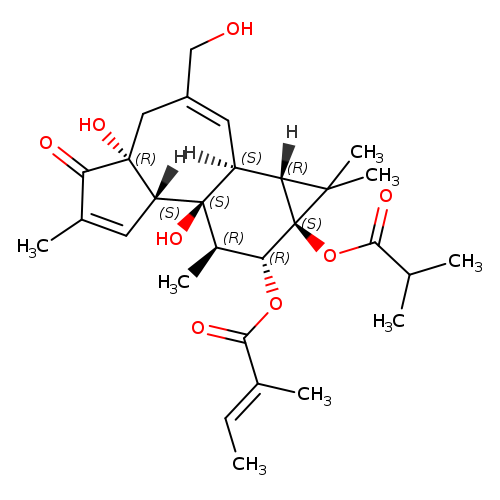 (1aR,1bS,4aR,7aS,7bS,8R,9R,9aS)-4a,7b-dihydroxy-3-(hydroxymethyl)-9a-(isobutyryloxy)-1,1,6,8-tetramethyl-5-oxo-1a,1b,4,4a,5,7a,7b,8,9,9a-decahydro-1H-cyclopropa[3,4]benzo[1,2-e]azulen-9-yl (E)-2-methylbut-2-enoate