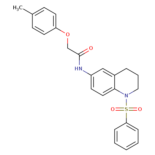 N-[1-(benzenesulfonyl)-1,2,3,4-tetrahydroquinolin-6-yl]-2-(4-methylphenoxy)acetamide