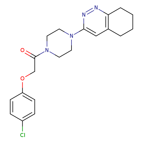 2-(4-chlorophenoxy)-1-[4-(5,6,7,8-tetrahydrocinnolin-3-yl)piperazin-1-yl]ethan-1-one