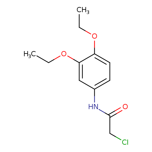 2-chloro-N-(3,4-diethoxyphenyl)acetamide