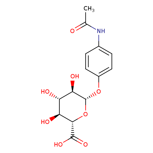 Acetaminophen glucuronide