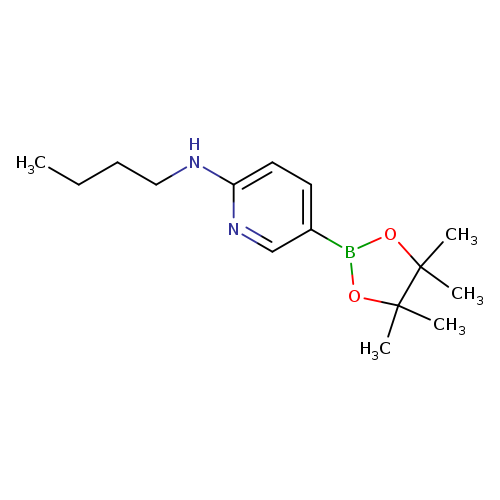 2-Butylamino-5-pyridineboronic acid, pinacol ester