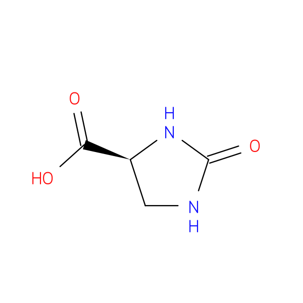 (S)-2-Oxoimidazolidine-4-carboxylic acid