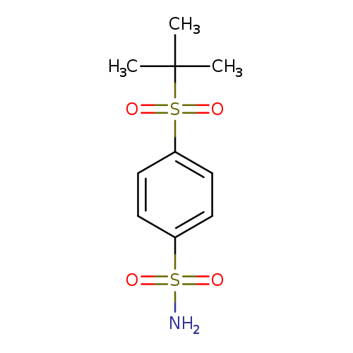 4-(2-methylpropane-2-sulfonyl)benzene-1-sulfonamide