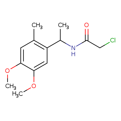 2-chloro-N-[1-(4,5-dimethoxy-2-methylphenyl)ethyl]acetamide